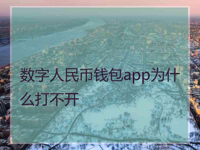 数字人民币钱包app为什么打不开