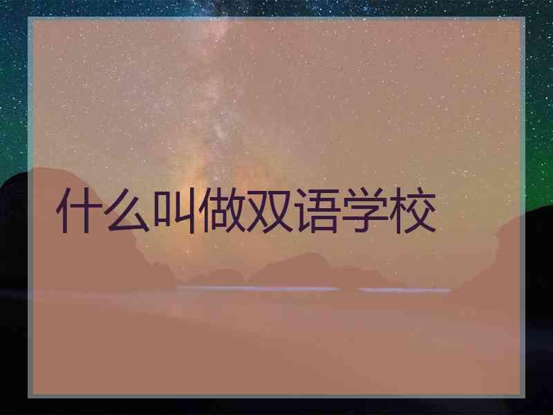 什么叫做双语学校