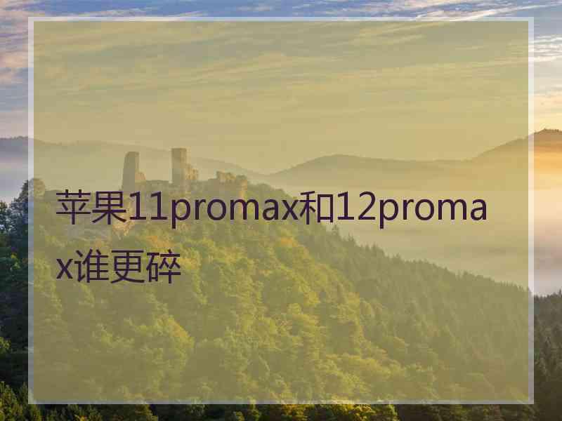 苹果11promax和12promax谁更碎