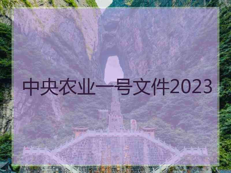 中央农业一号文件2023