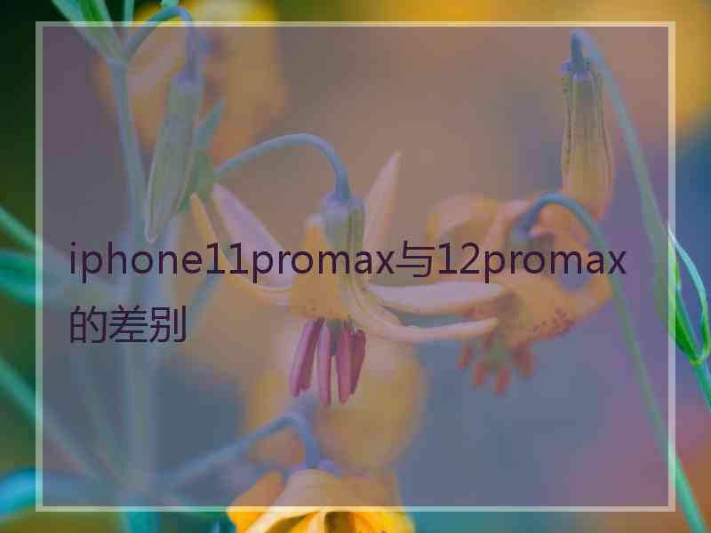 iphone11promax与12promax的差别