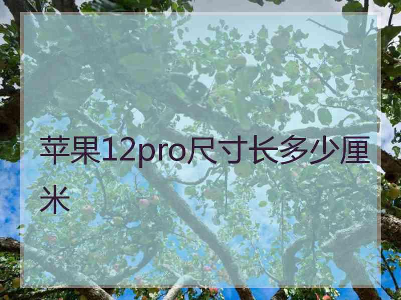 苹果12pro尺寸长多少厘米