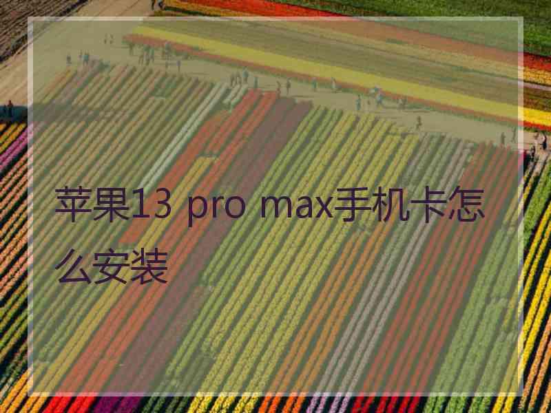 苹果13 pro max手机卡怎么安装