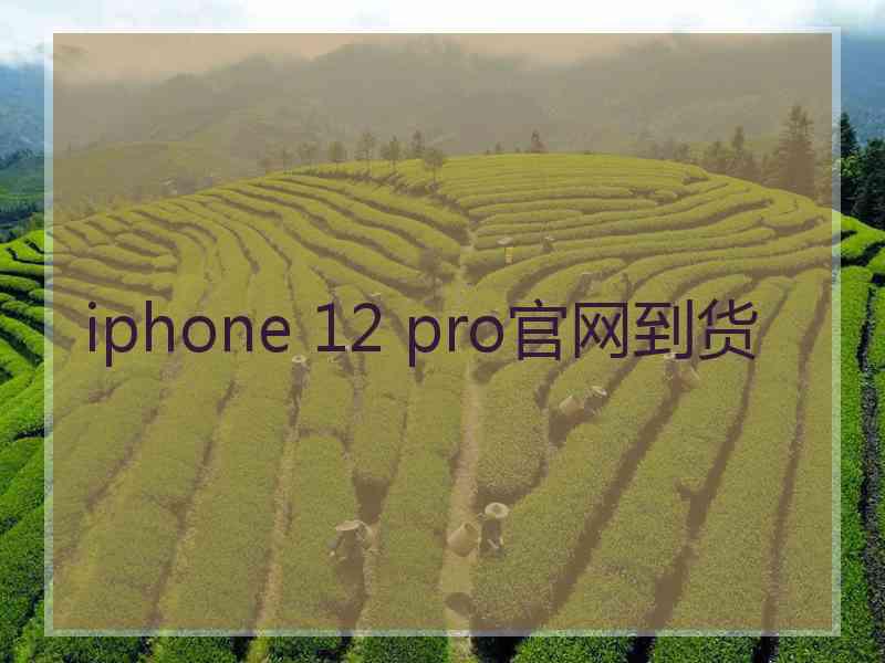 iphone 12 pro官网到货