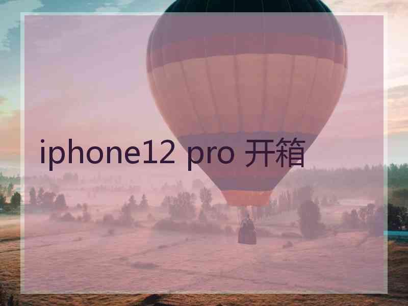 iphone12 pro 开箱