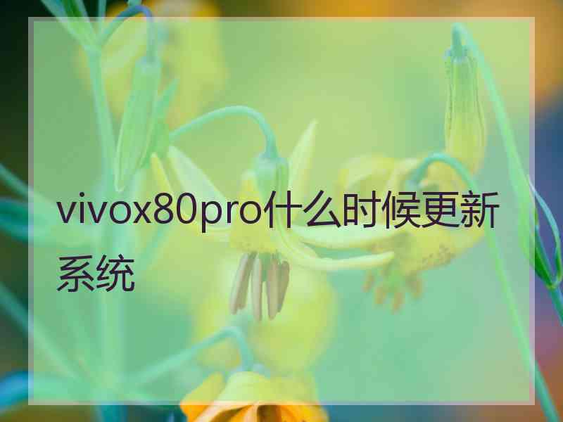 vivox80pro什么时候更新系统