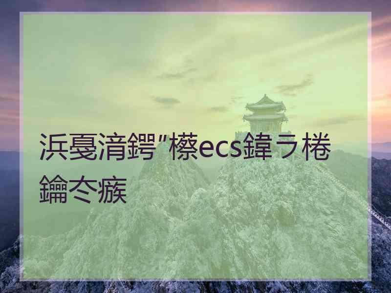 浜戞湇鍔″櫒ecs鍏ラ棬鑰冭瘯