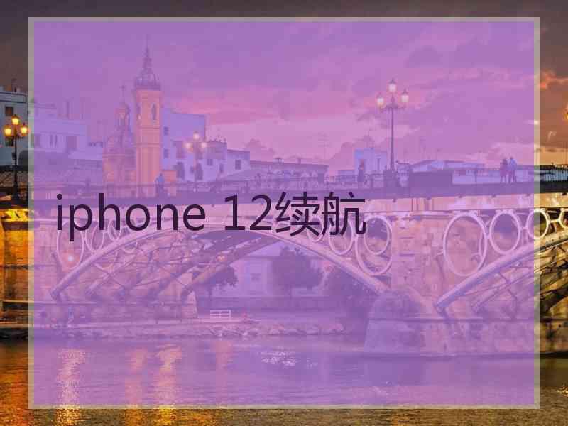 iphone 12续航