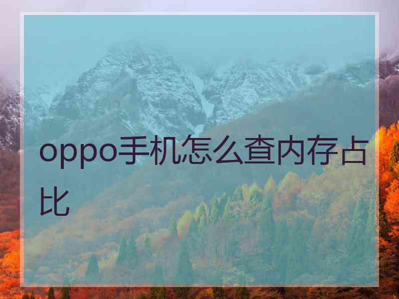 oppo手机怎么查内存占比