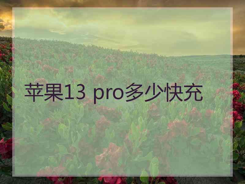 苹果13 pro多少快充