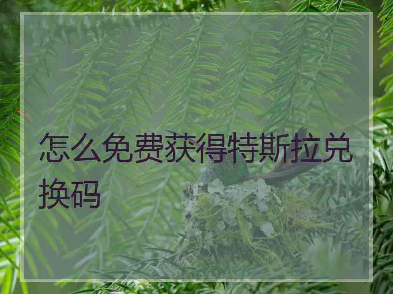 怎么免费获得特斯拉兑换码