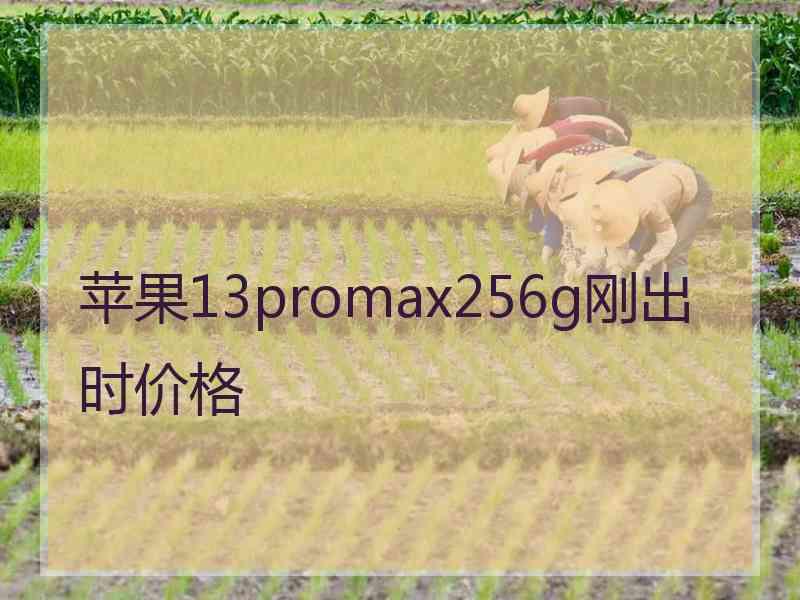 苹果13promax256g刚出时价格