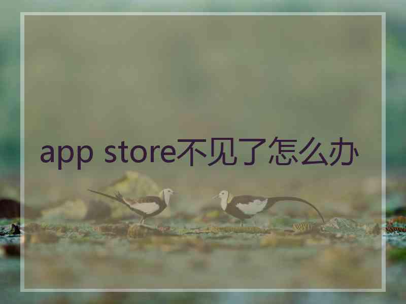 app store不见了怎么办