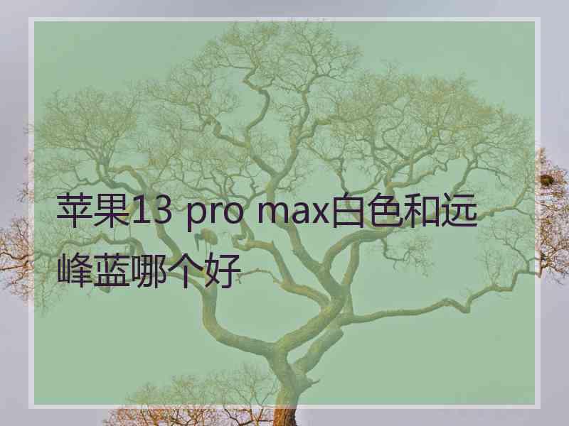 苹果13 pro max白色和远峰蓝哪个好