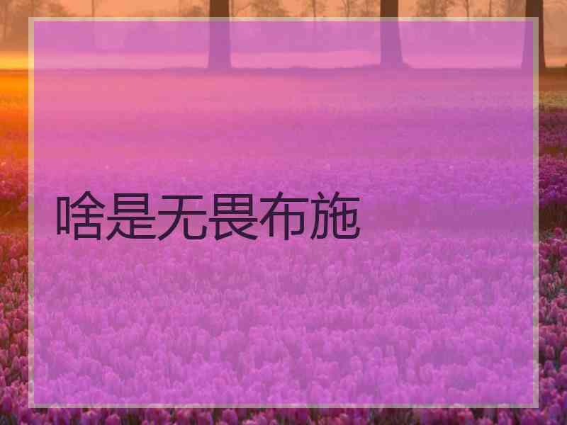 啥是无畏布施