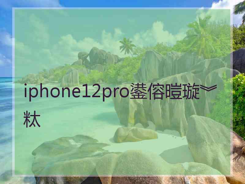 iphone12pro鍙傛暟璇︾粏