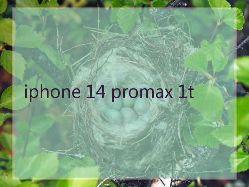 iphone 14 promax 1t