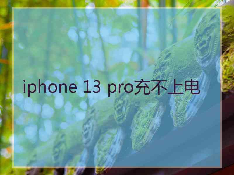 iphone 13 pro充不上电