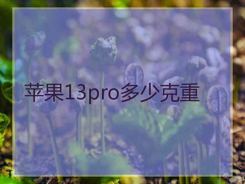 苹果13pro多少克重