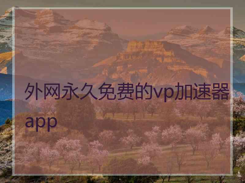 外网永久免费的vp加速器app