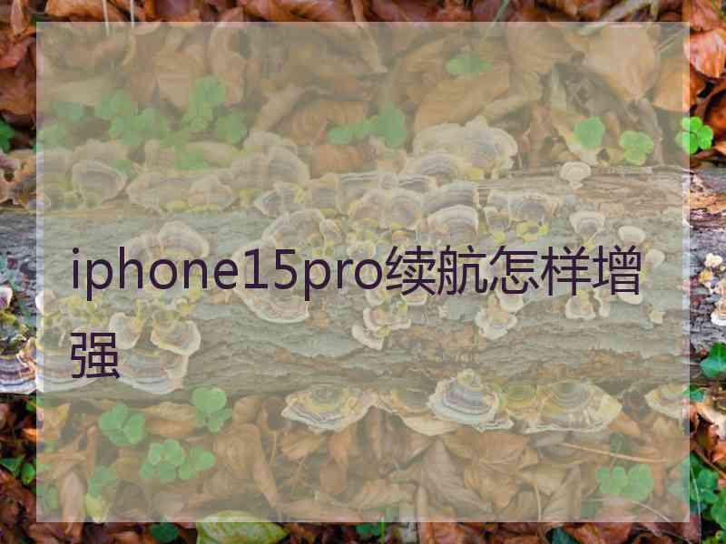 iphone15pro续航怎样增强