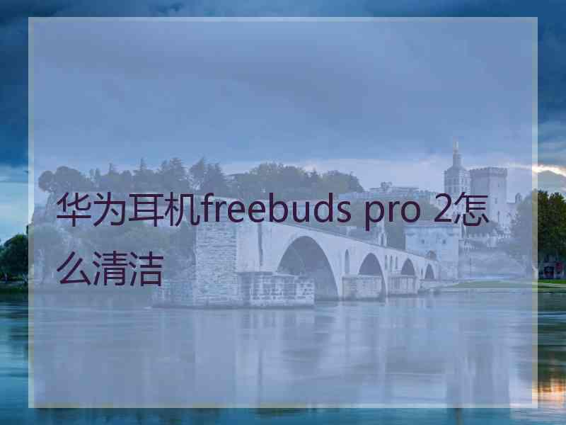 华为耳机freebuds pro 2怎么清洁