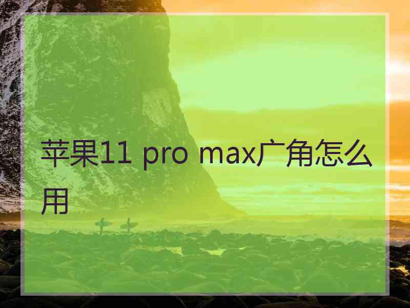 苹果11 pro max广角怎么用