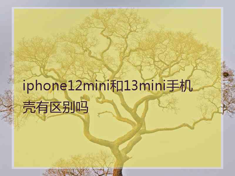 iphone12mini和13mini手机壳有区别吗