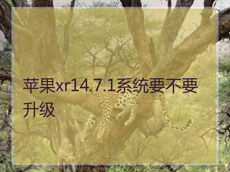 苹果xr14.7.1系统要不要升级