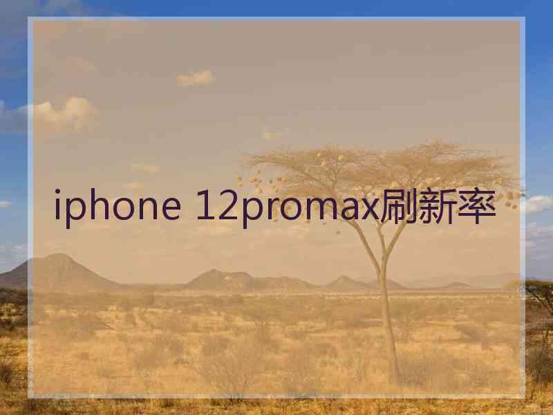 iphone 12promax刷新率