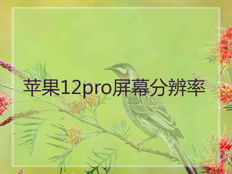 苹果12pro屏幕分辨率