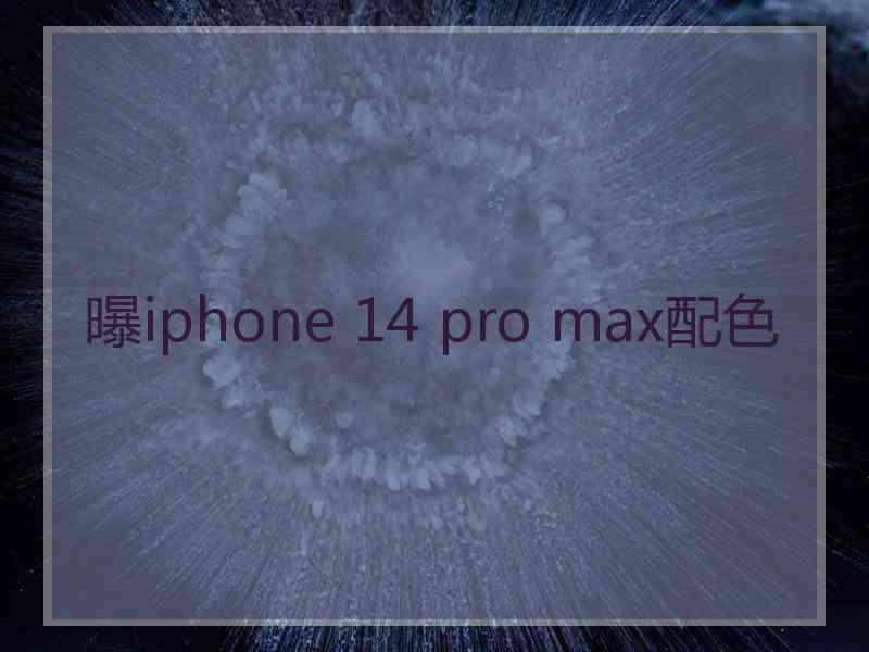 曝iphone 14 pro max配色