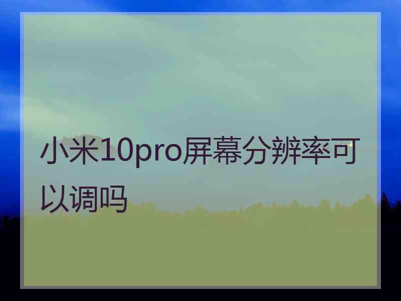 小米10pro屏幕分辨率可以调吗