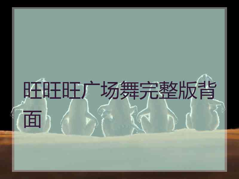 旺旺旺广场舞完整版背面