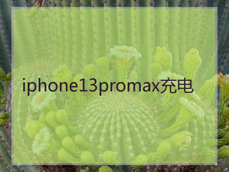 iphone13promax充电