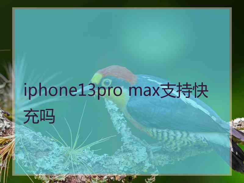 iphone13pro max支持快充吗