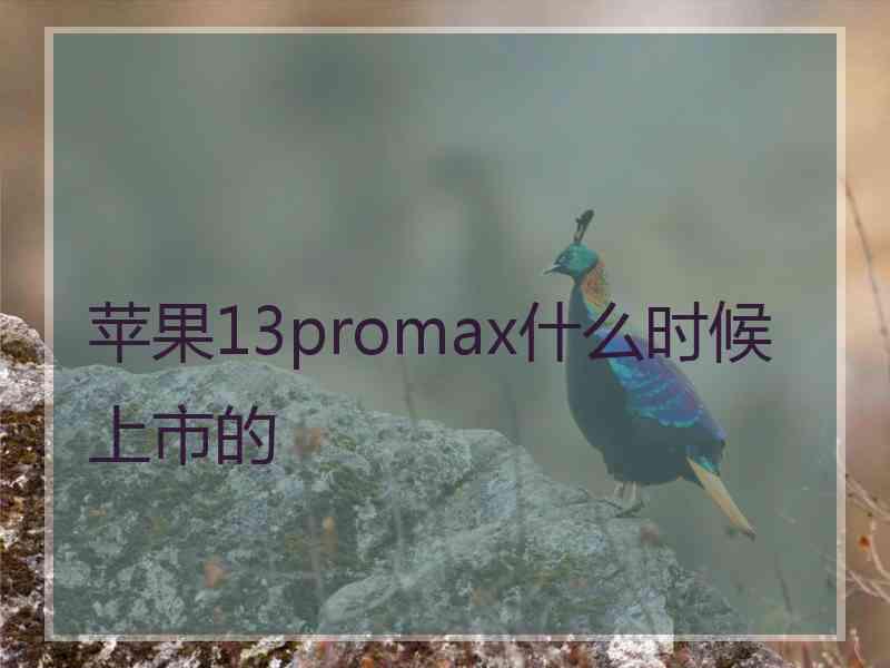 苹果13promax什么时候上市的