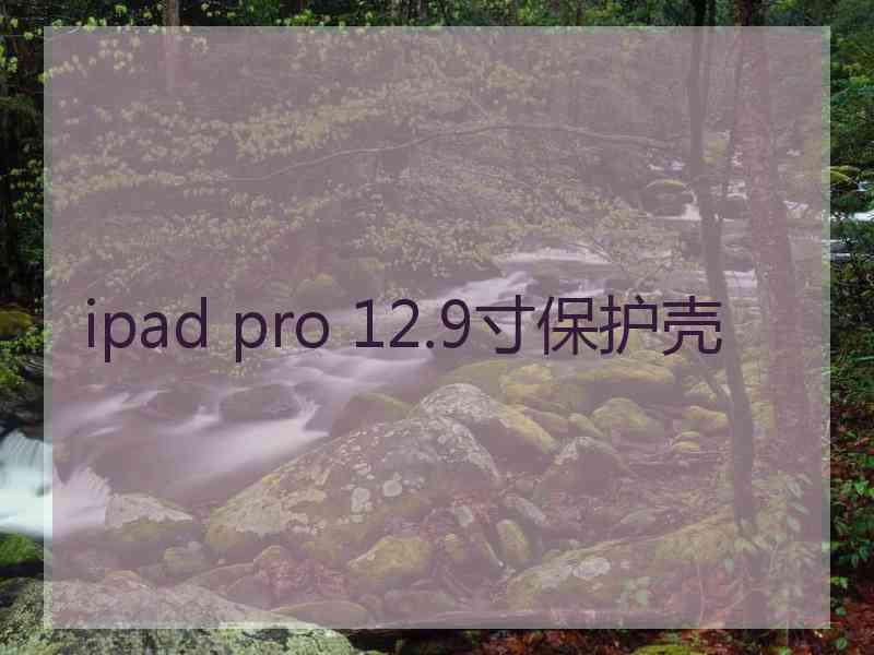 ipad pro 12.9寸保护壳