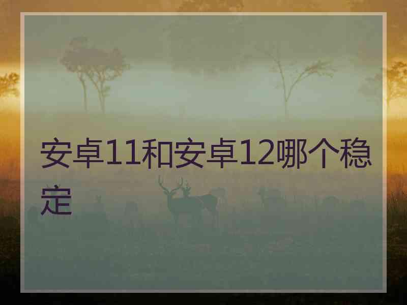 安卓11和安卓12哪个稳定