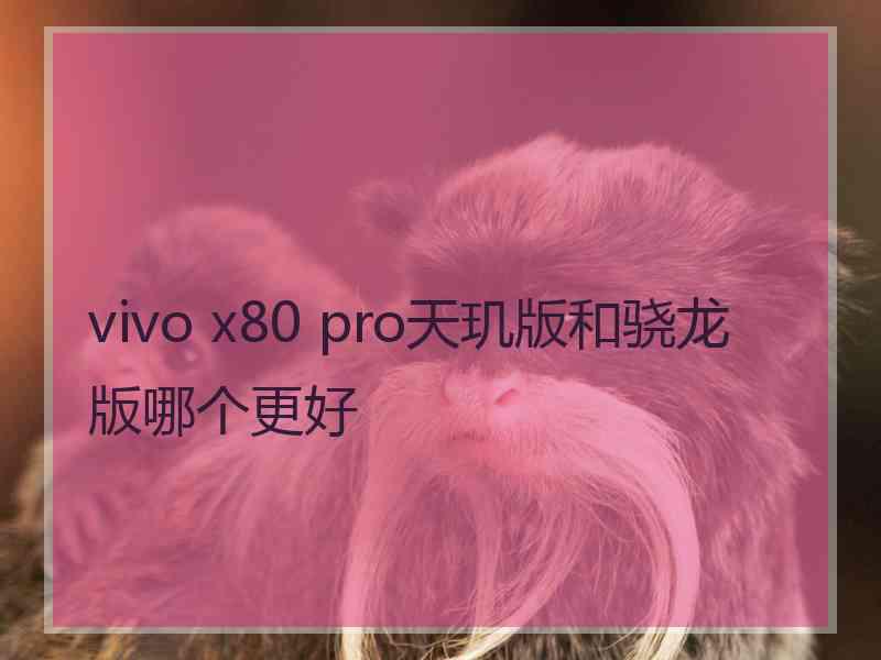 vivo x80 pro天玑版和骁龙版哪个更好