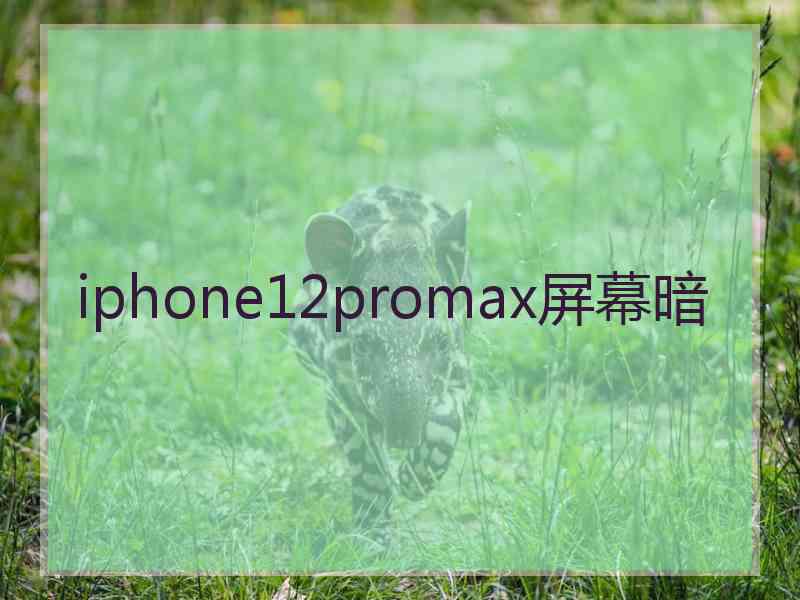 iphone12promax屏幕暗