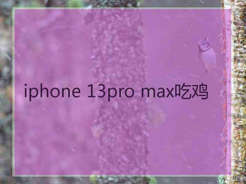 iphone 13pro max吃鸡