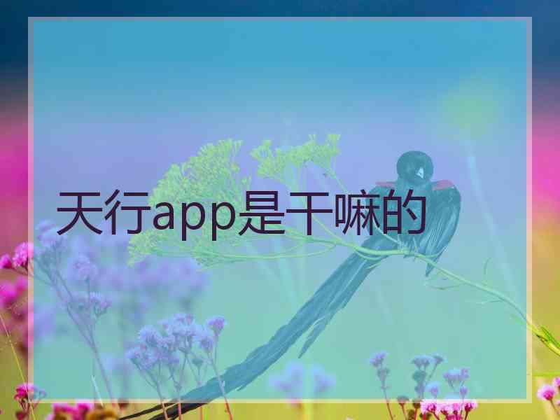 天行app是干嘛的