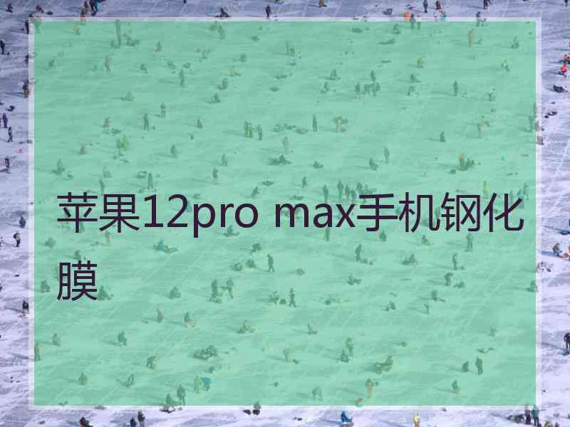 苹果12pro max手机钢化膜