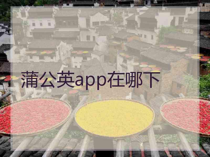 蒲公英app在哪下