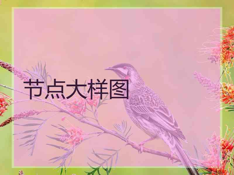 节点大样图