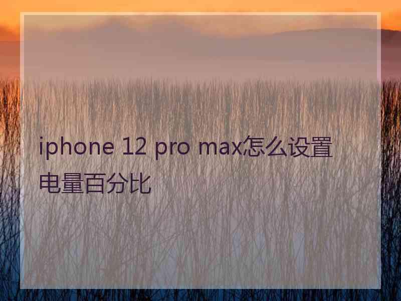 iphone 12 pro max怎么设置电量百分比