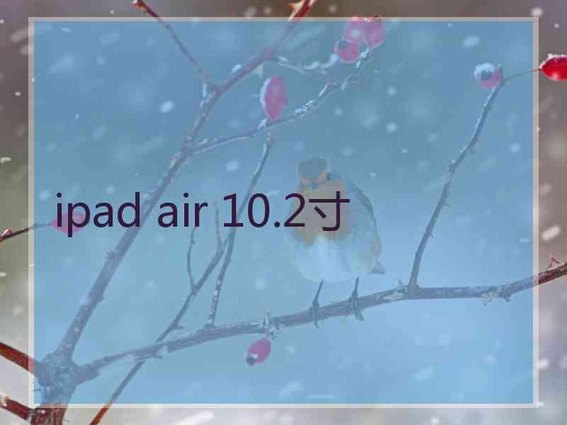 ipad air 10.2寸