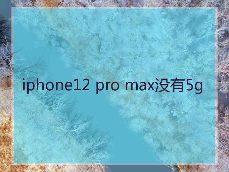 iphone12 pro max没有5g