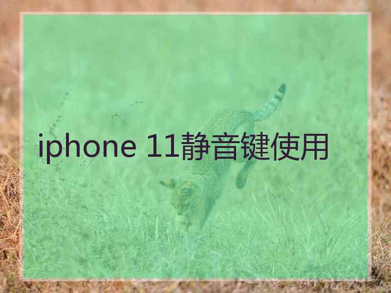 iphone 11静音键使用